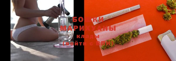 стаф Богородск