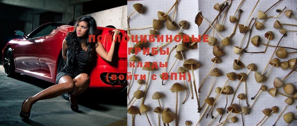 бутират Ростов