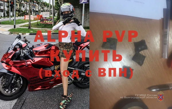 стаф Богородск