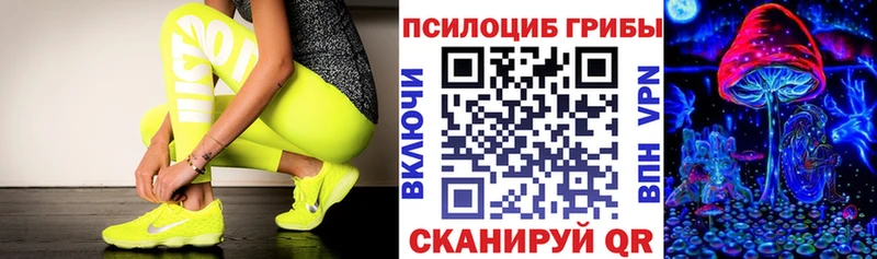 сколько стоит  Котельнич  Галлюциногенные грибы Magic Shrooms 